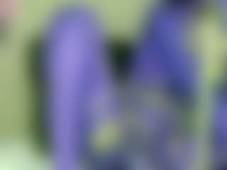 Live cam show with NATALIE-PARKER - Black Cum on fuck-show.com