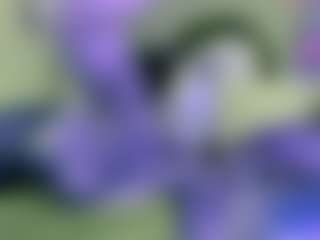 Show de cam sexual en vivo de NATALIE-PARKER