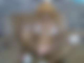 senoritah's Live Sex Cam Show