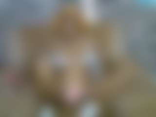 senoritah's Live Sex Cam Show