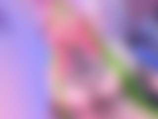 Bella's Live Sex Cam Show