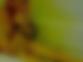 ShadowV5551's Live Sex Cam Show