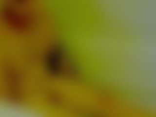 ShadowV5551's Live Sex Cam Show