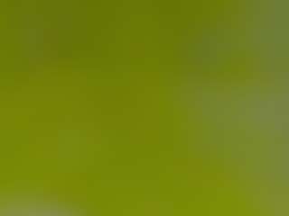 ShadowV5551's Live Sex Cam Show