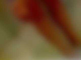 Live cam show with ShadowV5551 - Big Cock on Camsoda