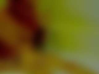 ShadowV5551's Live Sex Cam Show