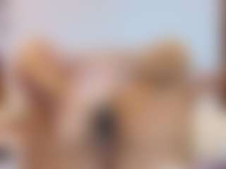 SofiaaSweett's Live Sex Cam Show