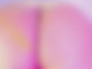 melissa-horney's Live Sex Cam Show