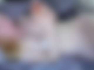 kittyalice2003's Live Sex Cam Show