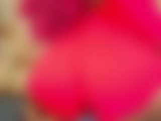 Live cam show with AlisonJaimes - Ebony on AdultVida.com | colombia