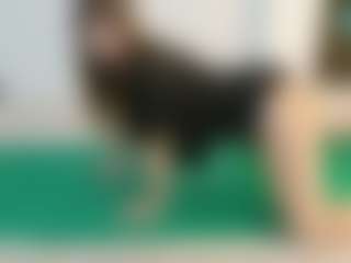 SaveTheBea's Live Sex Cam Show