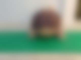 SaveTheBea's Live Sex Cam Show
