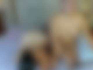 Live cam show with studValerin-Abbi - Lesbian on luckytryst.com