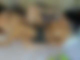 Live cam show with studValerin-Abbi - Cosplay Toys on camwithhim.com