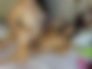 studValerin-Abbis Live-Sex-Cam-Show