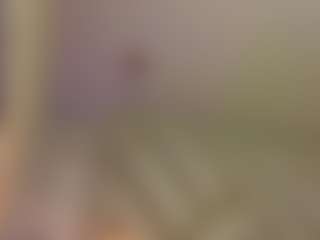 andrea-jones11's Live Sex Cam Show