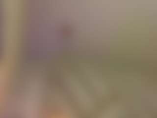 andrea-jones11's Live Sex Cam Show