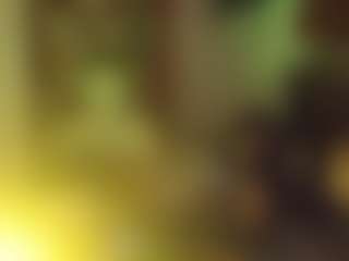 SlamminSammy506's Live Sex Cam Show
