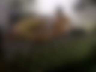 SlamminSammy506's Live Sex Cam Show