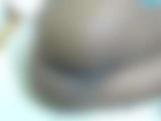 Live cam show with Cuteavrl - Ebony on crypto-cams | united states
