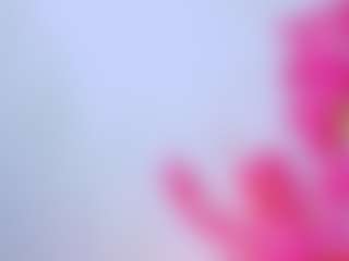 Julieth Davis's Live Sex Cam Show