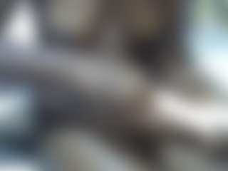 Live cam show with Shanlove - Ebony Amateur on sexylive.show