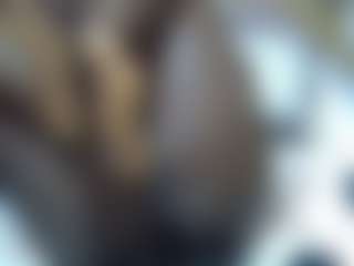 Shanlove's Live Sex Cam Show