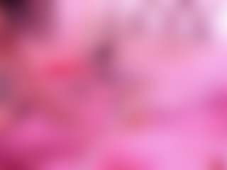 Live cam show with KiimLogan - Ebony Amateur on chickslive.net
