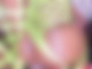 KiimLogan's Live Sex Cam Show