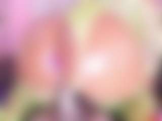 KiimLogan's Live Sex Cam Show