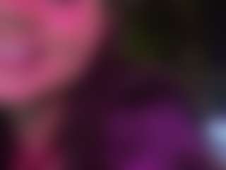 imrebecca's Live Sex Cam Show