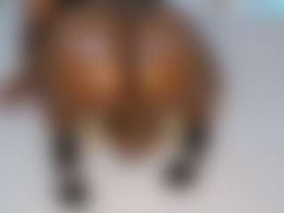 lynvee's Live Sex Cam Show