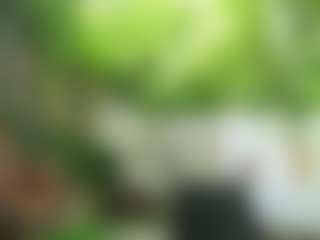 BabesGoesWild's Live Sex Cam Show