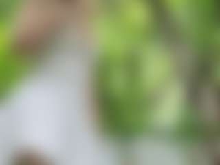 BabesGoesWilds Live-Sex-Cam-Show