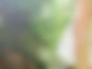 BabesGoesWild's Live Sex Cam Show