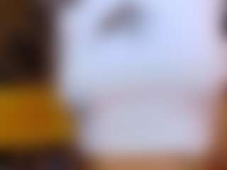 Sam-cekot's Live Sex Cam Show