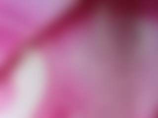Live cam show with xSweetBunny91x - Ass Bouncing on StripNow