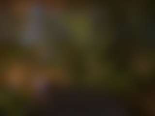 Selene Wild's Live Sex Cam Show