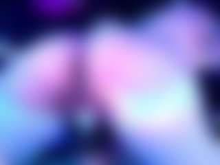 Layton Box's Live Sex Cam Show
