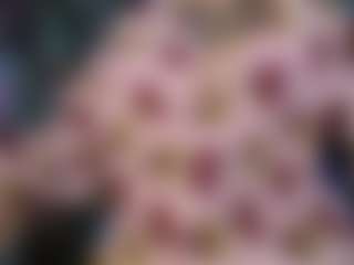 Nicoleink01's Live Sex Cam Show