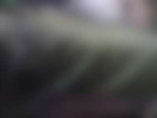 lesjuschill's Live Sex Cam Show