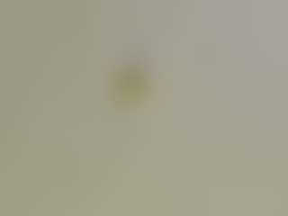 moniqque's Live Sex Cam Show