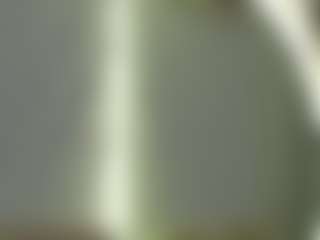 moniqque's Live Sex Cam Show