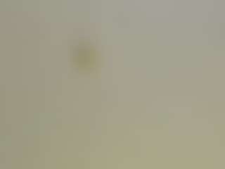 moniqque's Live Sex Cam Show