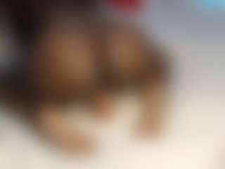 Live cam show with Sweet-sydney - Hairy Pussy on Nude Chat * 1 On 1 Webcam Sex * Live Cam Show