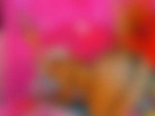 KANDY-EBONY's Live Sex Cam Show