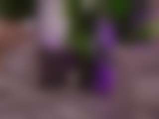 BambiKayy's Live Sex Cam Show