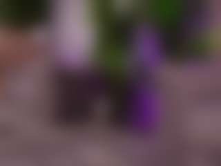 Live cam show with BambiKayy - Dirty Talk on makecum.org