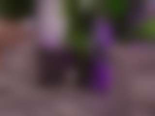 BambiKayy's Live Sex Cam Show