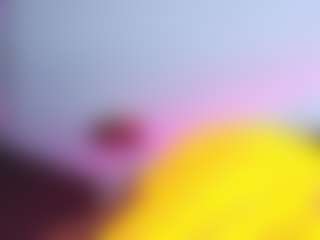 Live cam show with SofiaCopper - Nipple Piercings on LiveSexCams6